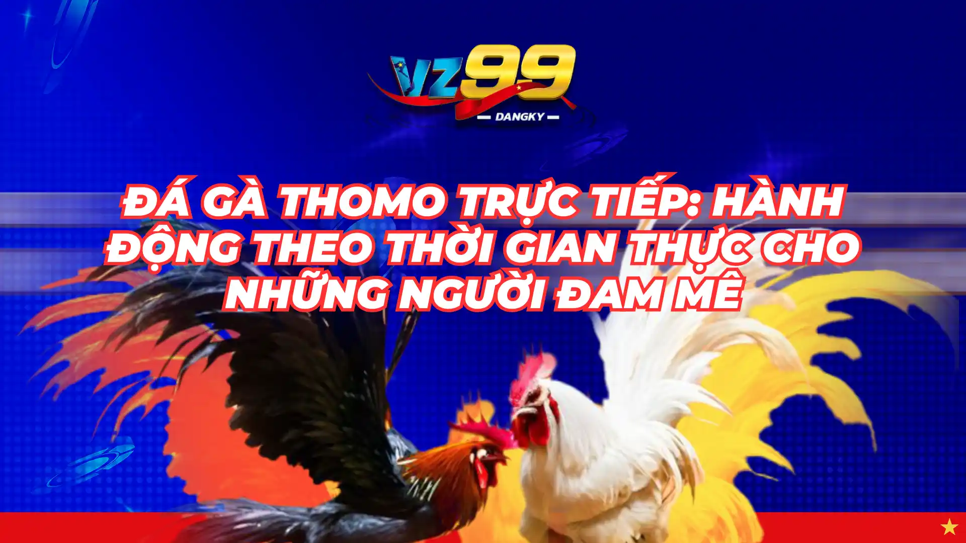 đá gà trực tiếp thomo