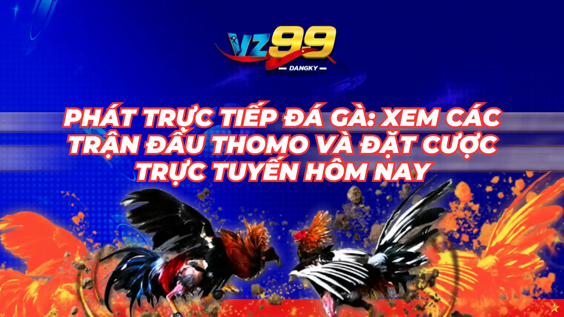 Đá Gà Trực Tiếp