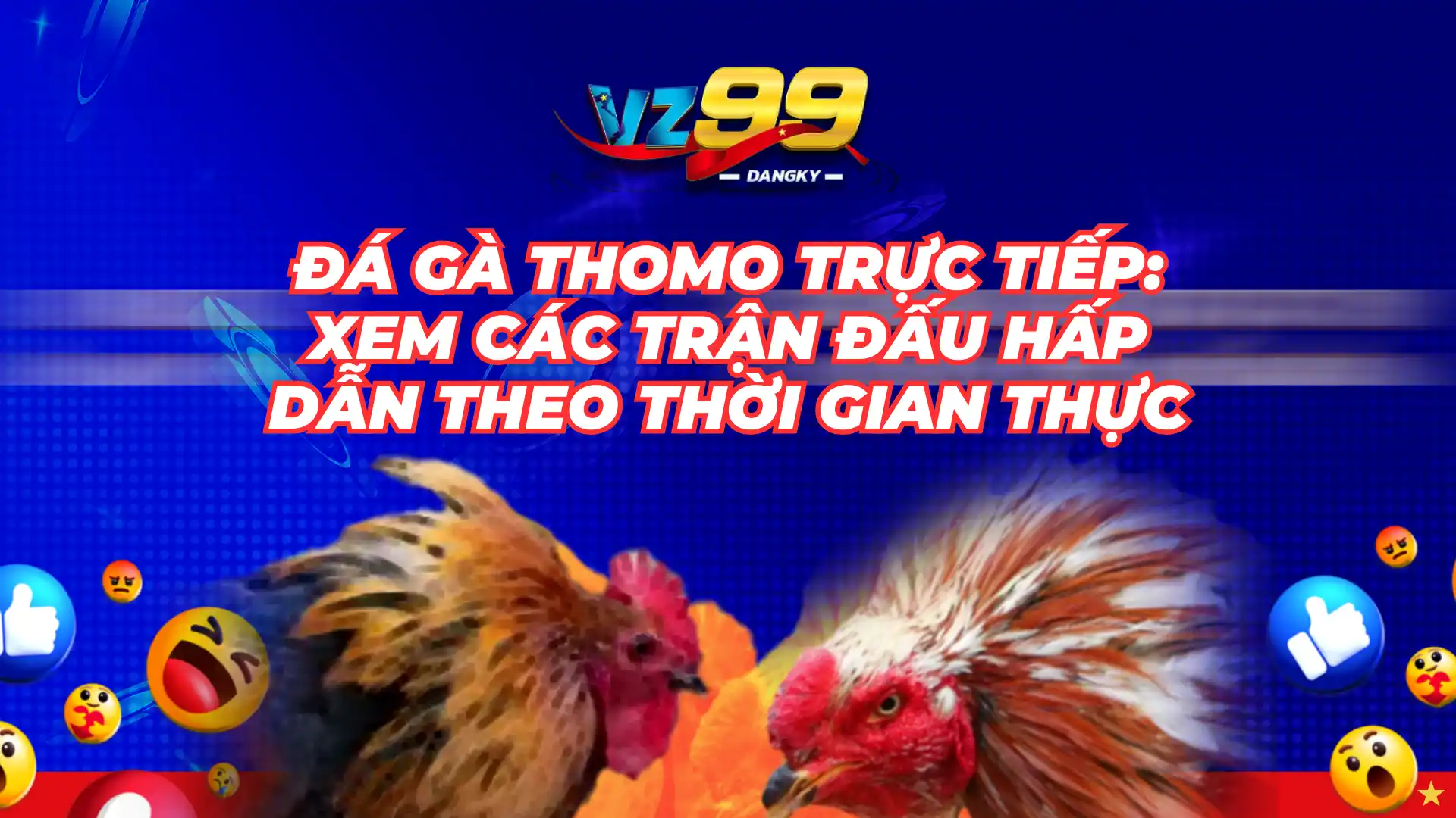 trực tiếp đá gà thomo